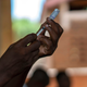 Health officials prepare to vaccinate residents of the Malawi village of Tomali, where young children are test subjects for the world’s first vaccine against malaria.